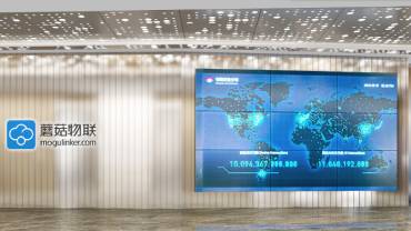 蘑菇物联深圳办公室